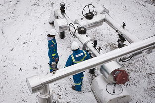 構建專業品牌形象 Allnorth工程技術服務咨詢公司的全方位視覺與數字體驗設計